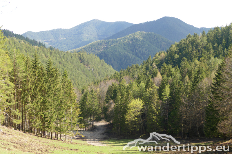 Schober/Öhler von Norden Abbildung 3