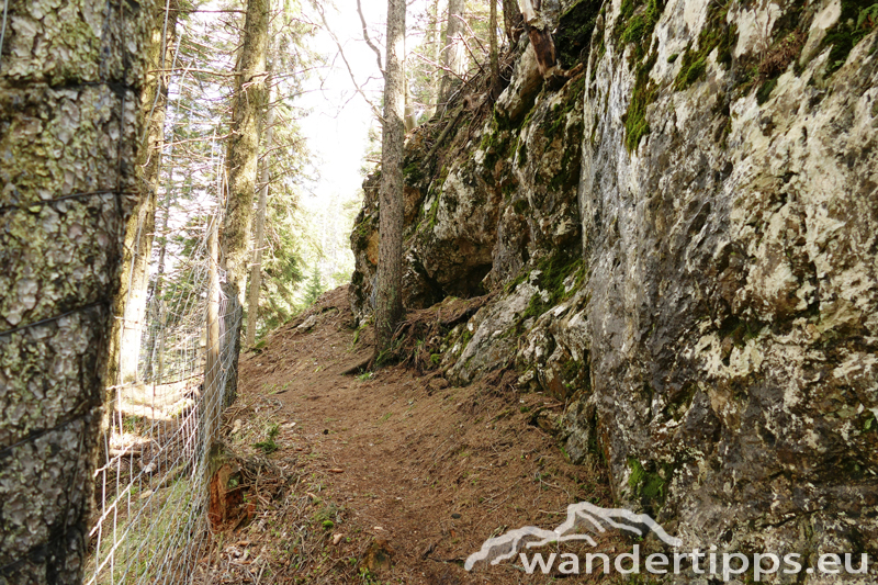 Schober/Öhler von Norden Abbildung 8