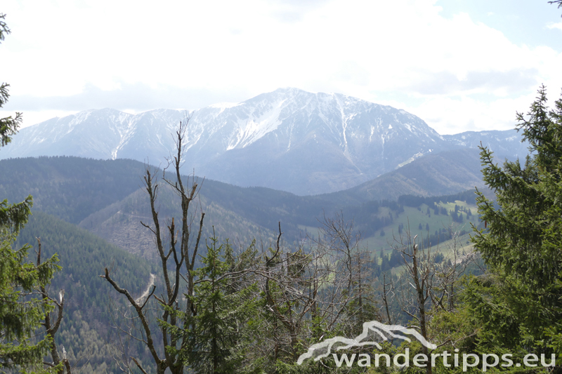 Schober/Öhler von Norden Abbildung 9