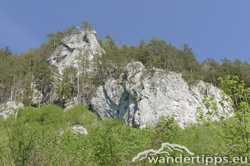 Falkenstein Abbildung 13