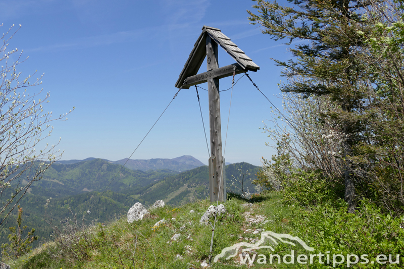 Falkenstein Abbildung 4