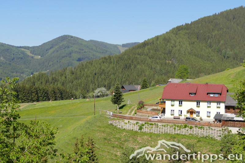 Kleiner Ringkogel Abbildung 14