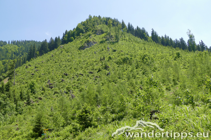 Almkogel Abbildung 2