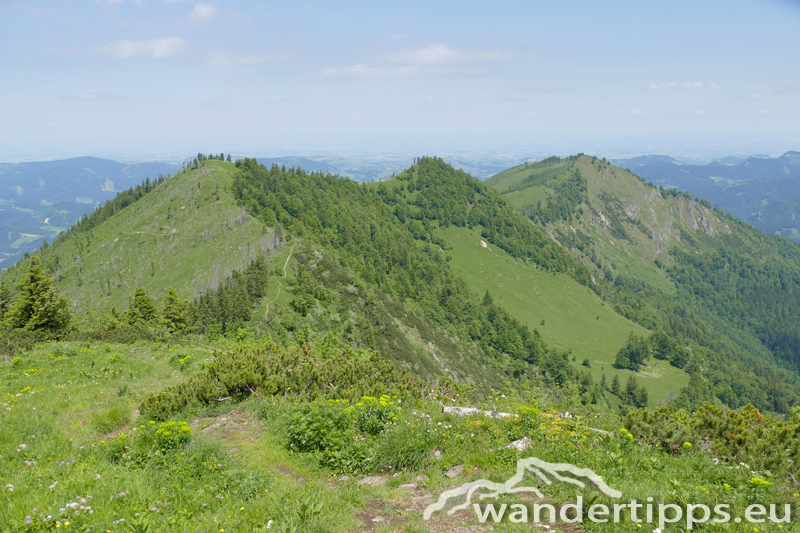 Almkogel Abbildung 11