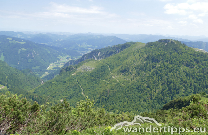 Almkogel Abbildung 12