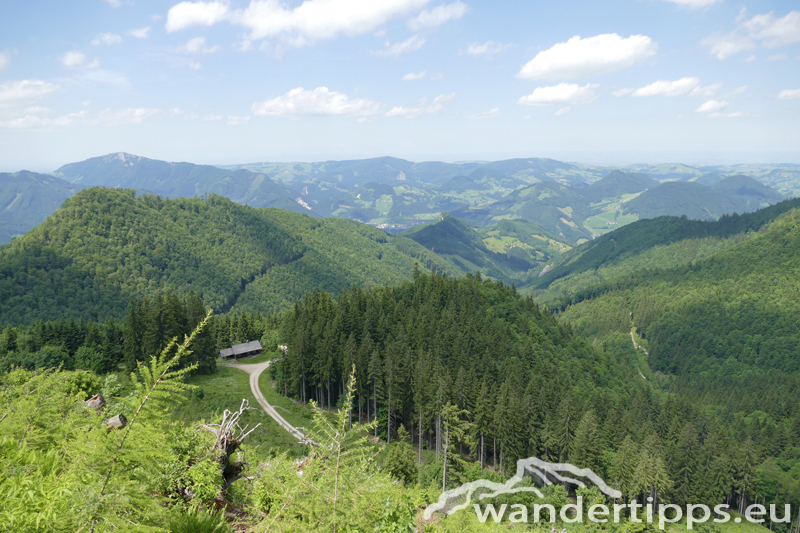 Almkogel Abbildung 14