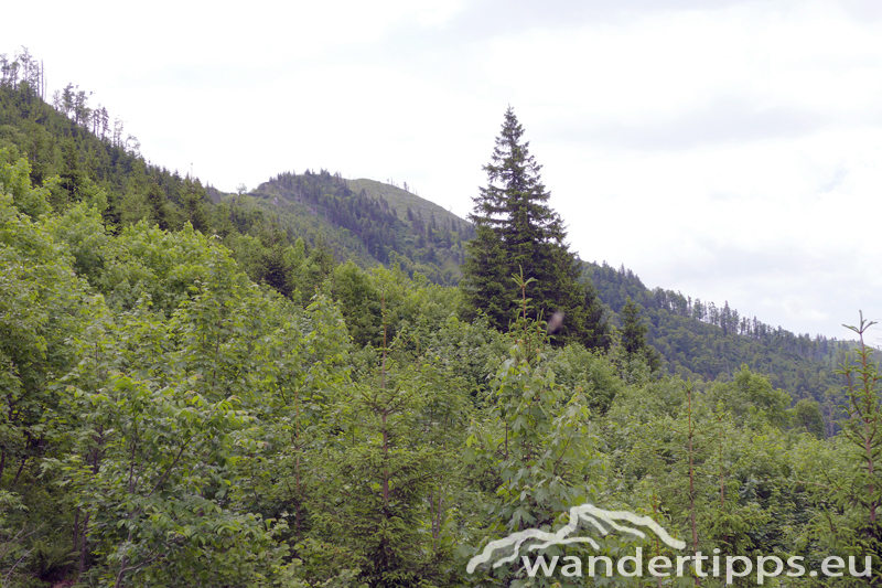 Almkogel Abbildung 3