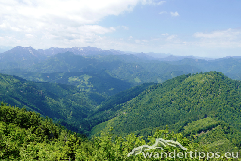 Almkogel Abbildung 5