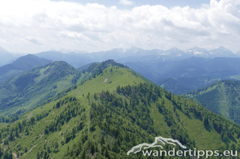 Almkogel Abbildung 8