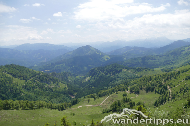 Almkogel Abbildung 9