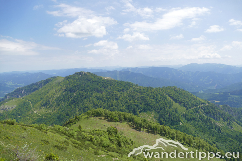 Almkogel Abbildung 10