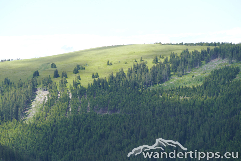 Arabichl von Nordwesten Abbildung 1