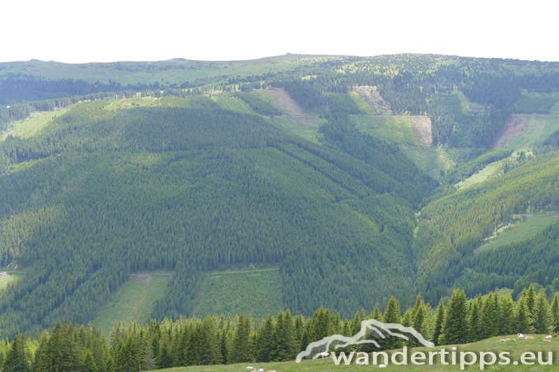 Arabichl von Nordwesten Abbildung 12