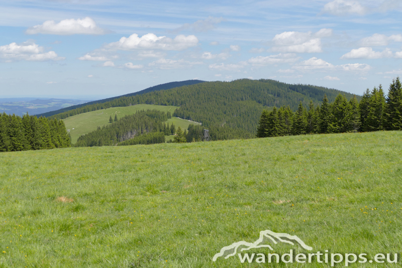 Arabichl von Nordwesten Abbildung 13