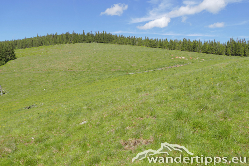 Arabichl von Nordwesten Abbildung 3