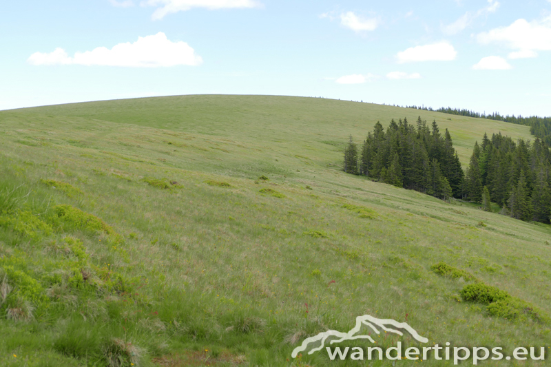 Arabichl von Nordwesten Abbildung 5