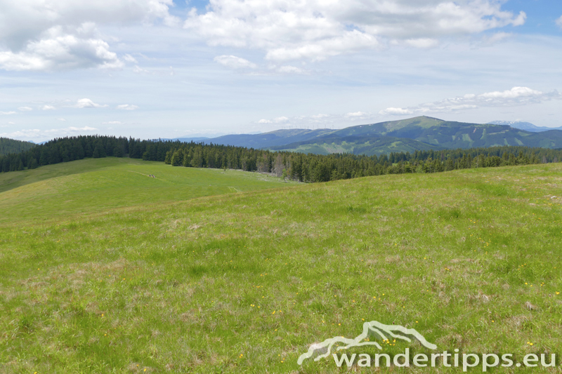 Arabichl von Nordwesten Abbildung 8