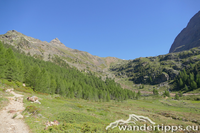 Jochkofel/Hochjoch Abbildung 4