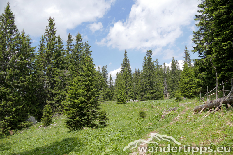Kienthalerhütte/Fleischer Gedenkstein Abbildung 11