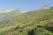 Grüner See/Felbertauern Abbildung 4