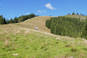 Rauschkogel/Eibelkogel Abbildung 3