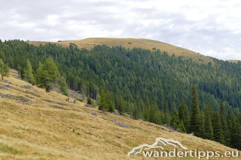 Bremstein/Mitterkogel Abbildung 14