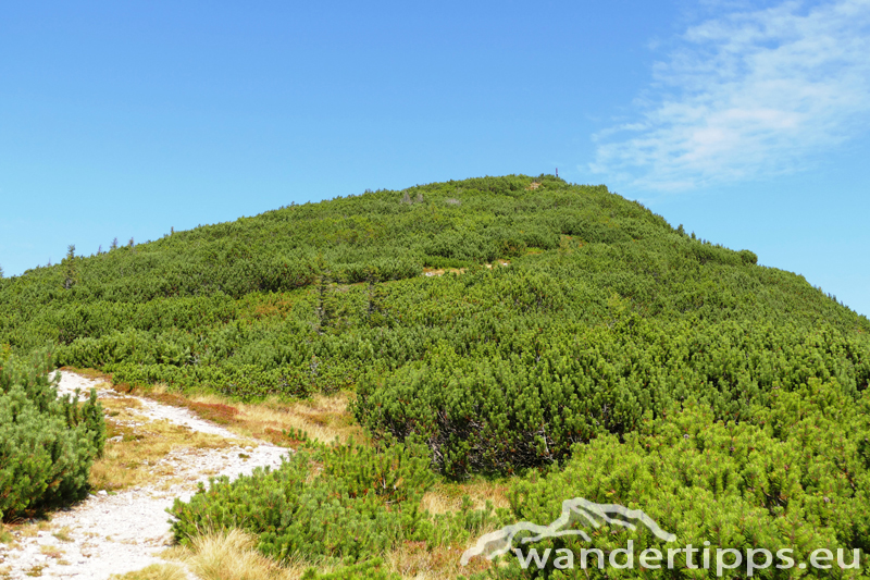 Bremstein/Mitterkogel Abbildung 3