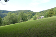 Gföhlberg Abbildung 5