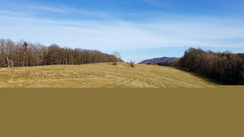 Gföhlberg Abbildung 16