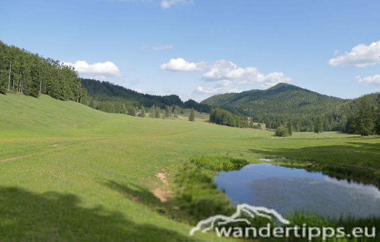 Dürre Leiten/Faden Abbildung 12