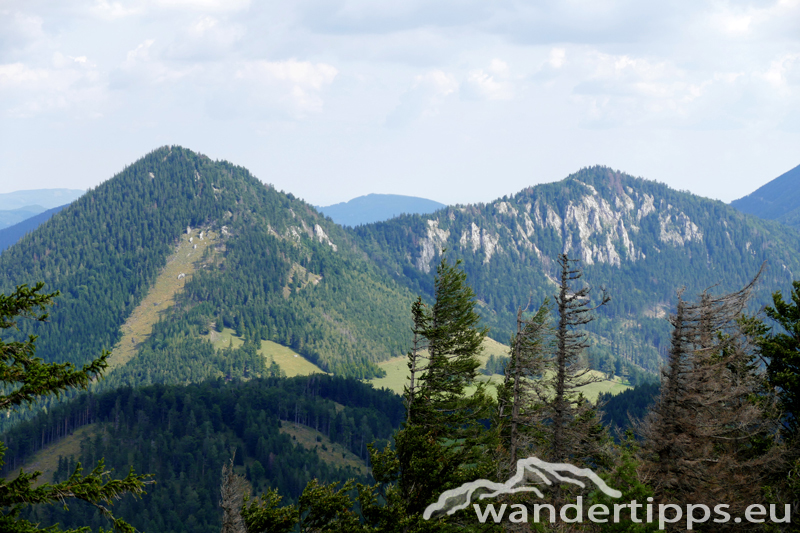 Dürre Leiten/Faden Abbildung 6