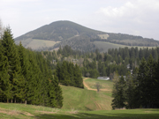 Heulantsch/Osser  Abbildung 2