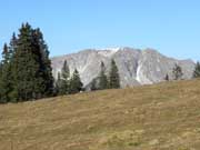 Gemeindealpe Abbildung 5