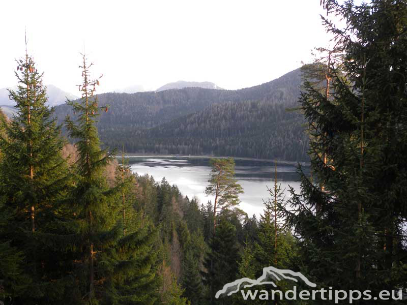 Gemeindealpe Abbildung 10