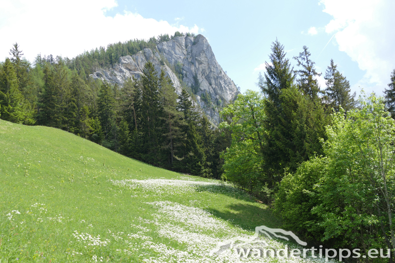 Brandangeralm Abbildung 15
