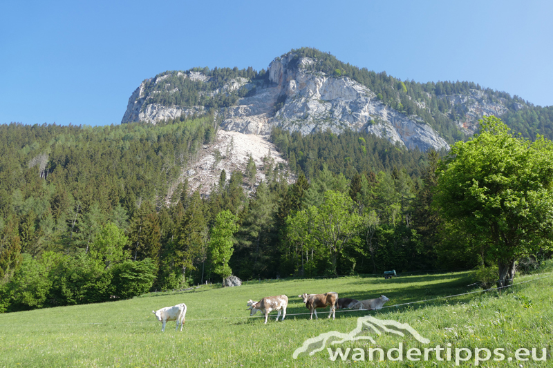 Brandangeralm Abbildung 4
