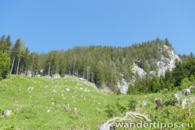 Brandangeralm Abbildung 6