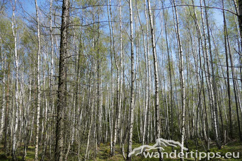 Kreuzberg Abbildung 4