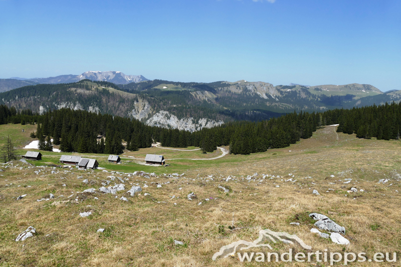 Lachalpe von Süden Abbildung 11