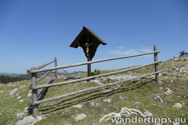 Lachalpe von Süden Abbildung 5