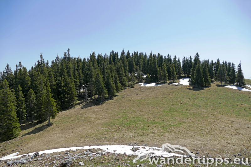 Lachalpe von Süden Abbildung 7