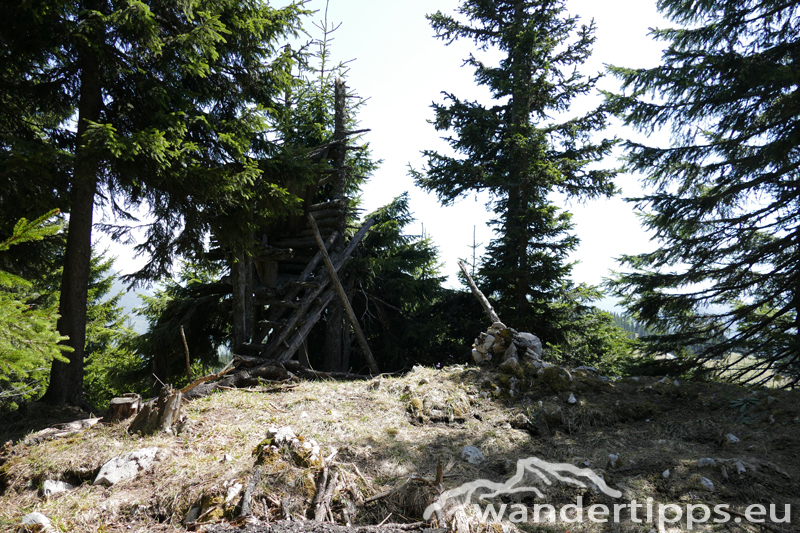 Lachalpe von Süden Abbildung 8