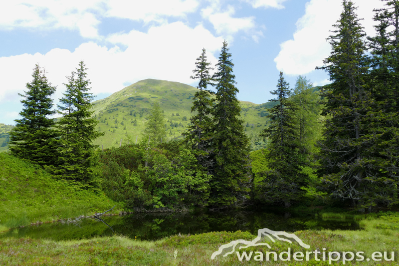 Mölbegg Abbildung 2