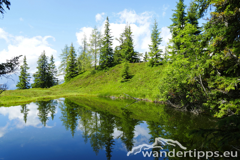 Mölbegg Abbildung 14