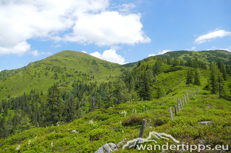 Mölbegg Abbildung 3