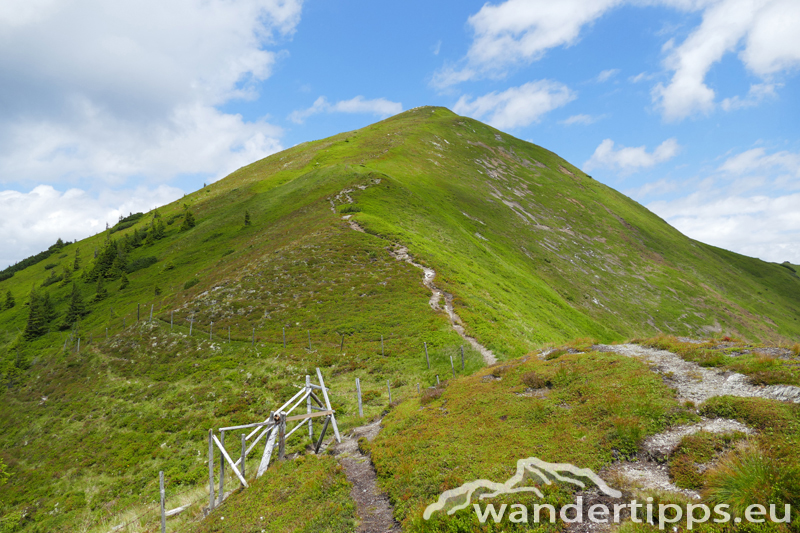 Mölbegg Abbildung 6