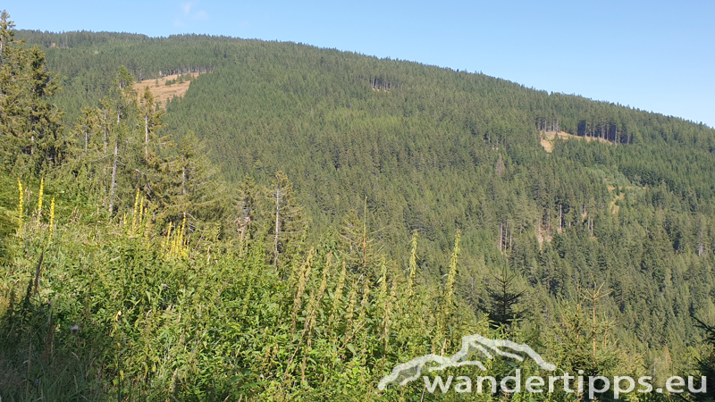 Umschussriegel/Schöberlriegel Abbildung 22