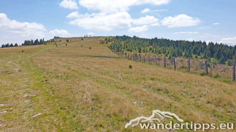 Umschussriegel/Schöberlriegel Abbildung 6