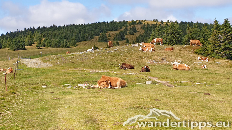 Umschussriegel/Schöberlriegel Abbildung 8