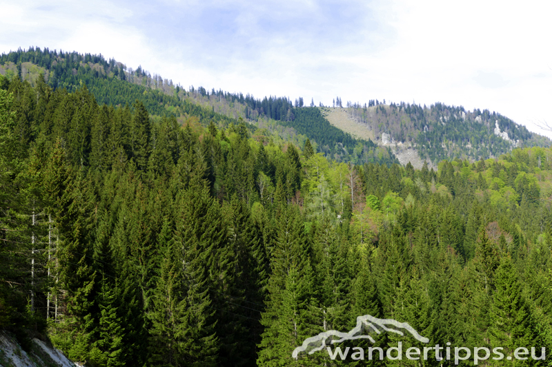 Großer Sulzberg Abbildung 2